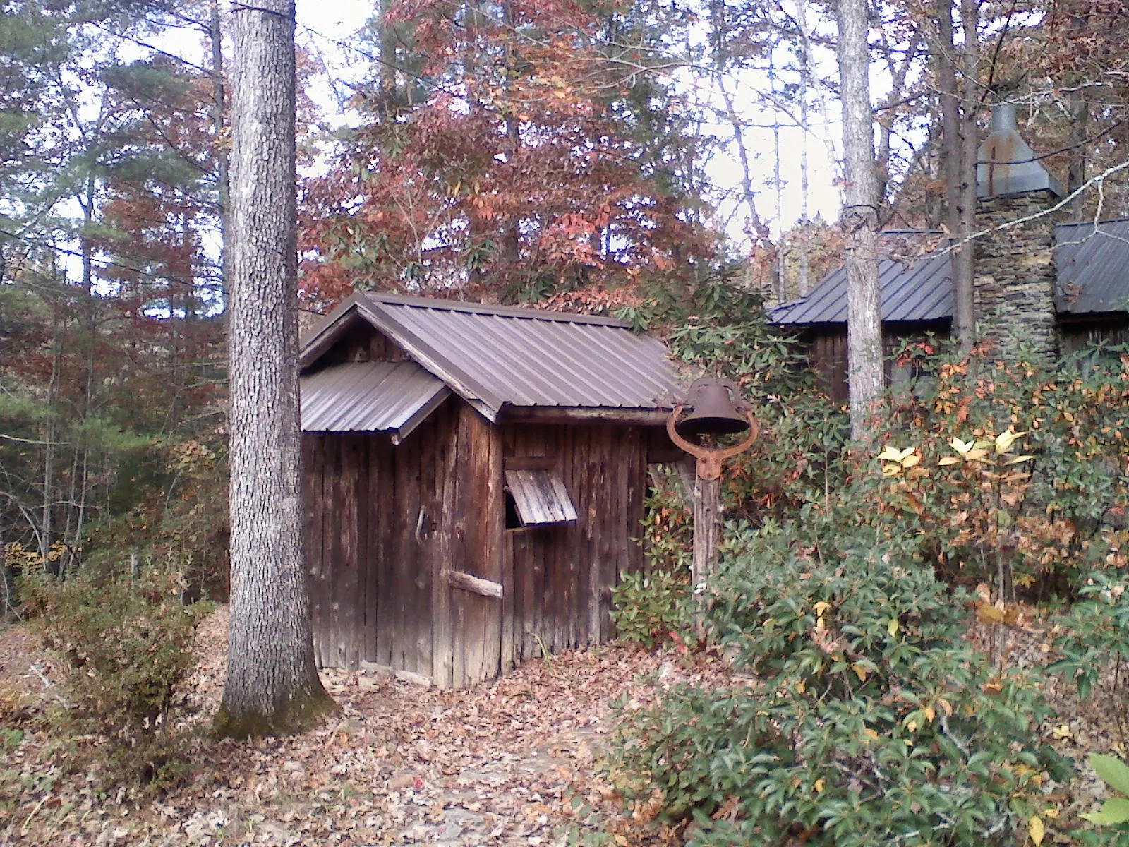 Small metal roof on a rough sawn shed in the woods in Pleasant Mount